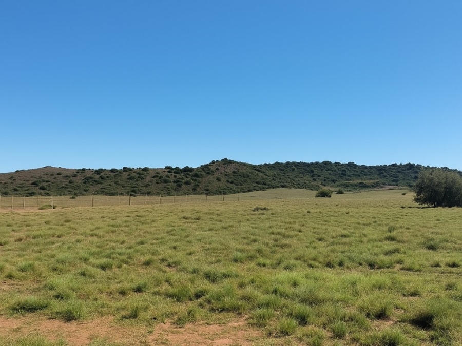 4 Bedroom Property for Sale in Bloemfontein Rural Free State